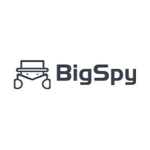 Bigspy Logo